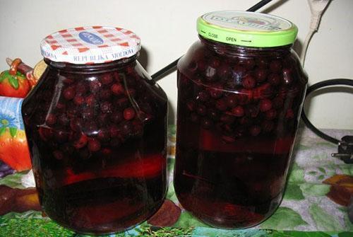 compote d'aronia