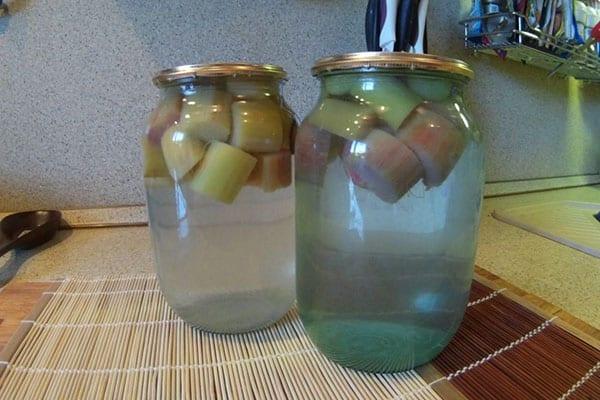 compota de ruibarbo para el invierno