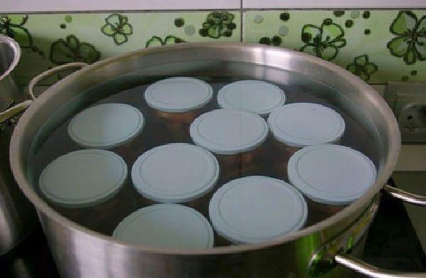 esterilizar compota de ruibarbo