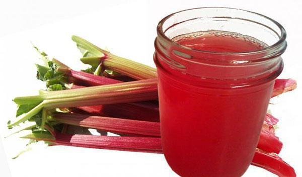 bebida vitamínica - compota de ruibarbo