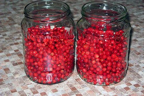 compota de arándanos y arándanos rojos