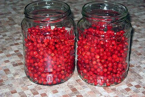 compote de canneberges et airelles