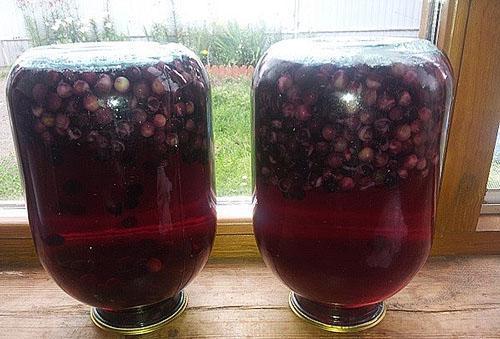 compota de cereza de pájaro se enfría para el invierno