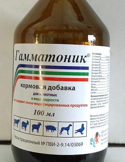 gammatónico