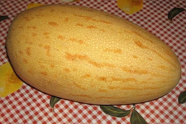 Melon de Sary-gulyabi