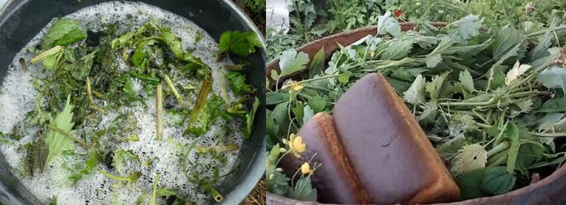 infusión de ortiga y pan