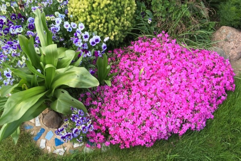 arreglo de flores de tamaño insuficiente