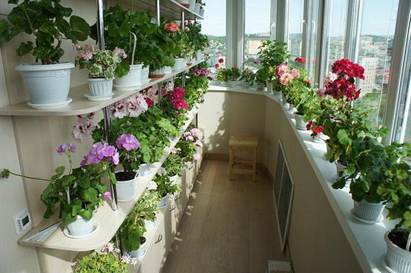 estantes para flores en el balcón