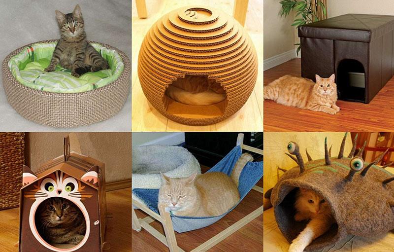 casas caseras para gatos