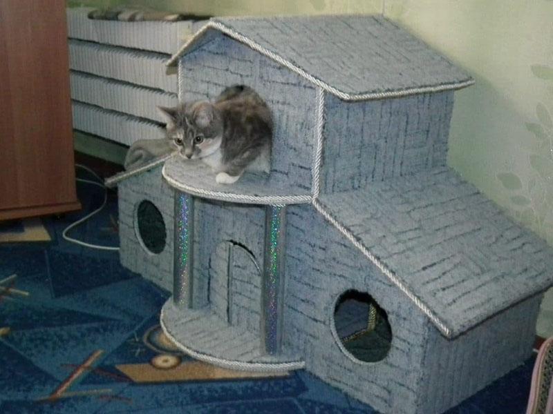 Hágalo usted mismo casa de dos pisos para un gato