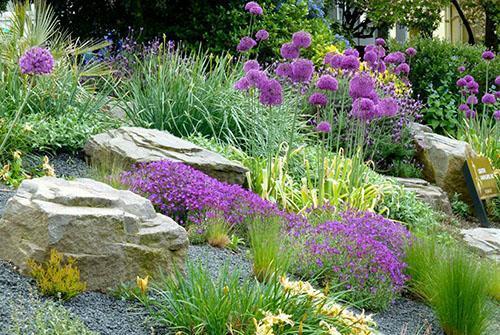 décorer le ruisseau avec des fleurs dans des tons violets
