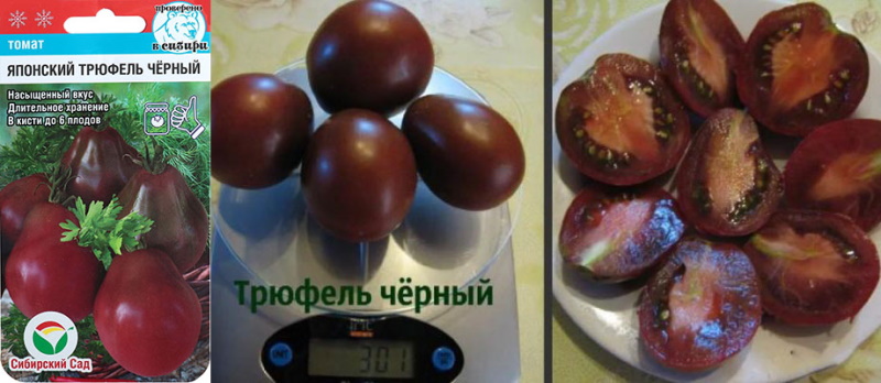 variété tomate truffe japonaise noire
