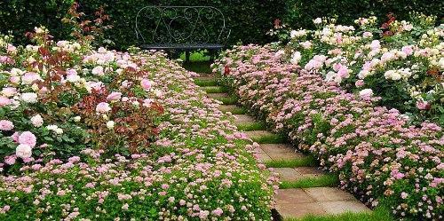 bordure de fleurs