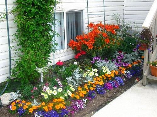 conception de parterre de fleurs