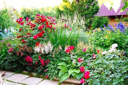 parterre de fleurs