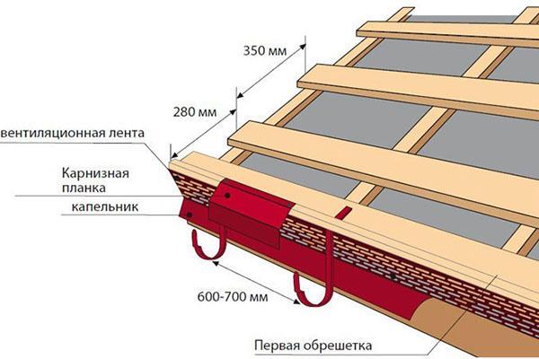 reglas para colocar la caja