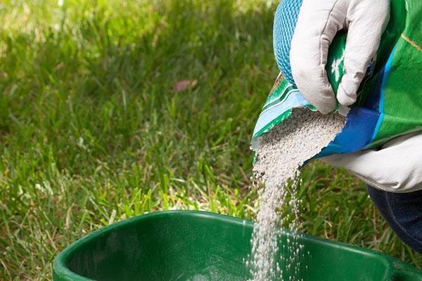 Fertilizando el césped