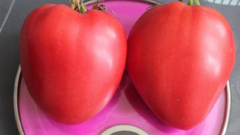 tomate rosa