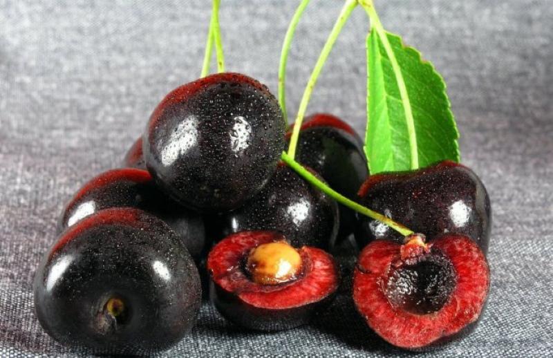 bayas de cereza dyber