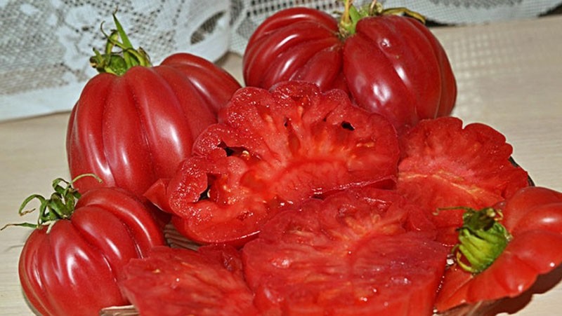 tomates pour salades