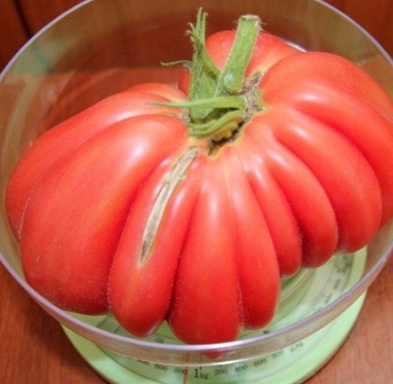 fruta grande