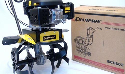 champion 5602