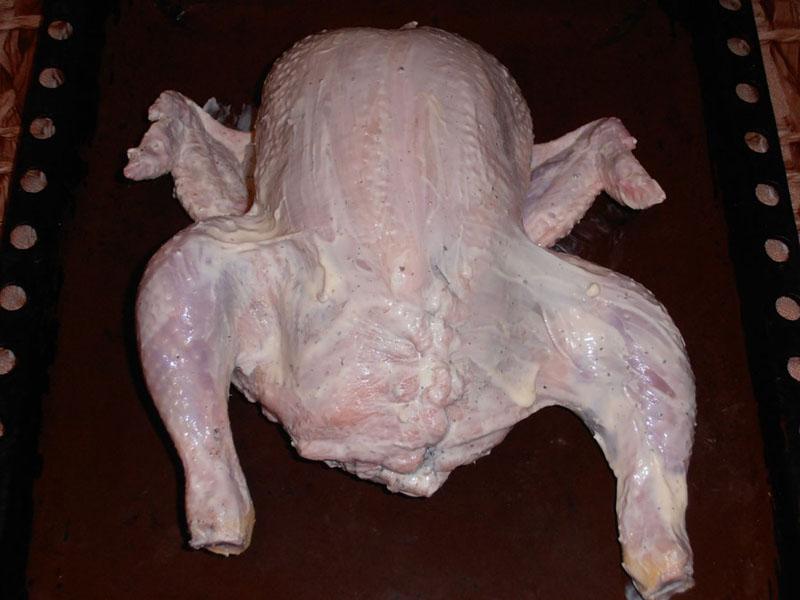 coudre un poulet avec des fils