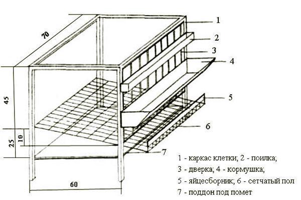 Conception de cage de couche