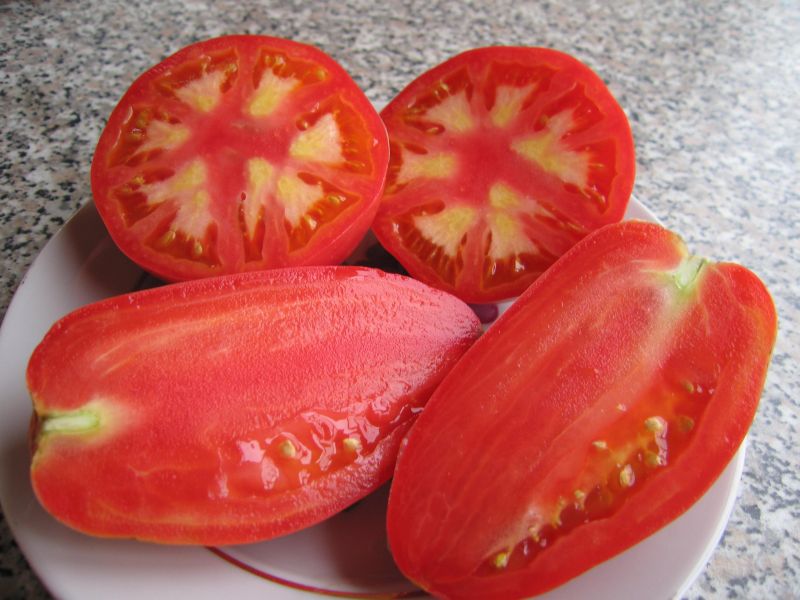 tomate fruit persil jardinier