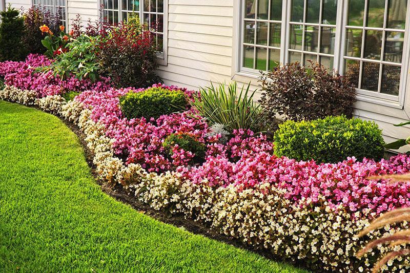 jardinería de una cabaña de verano