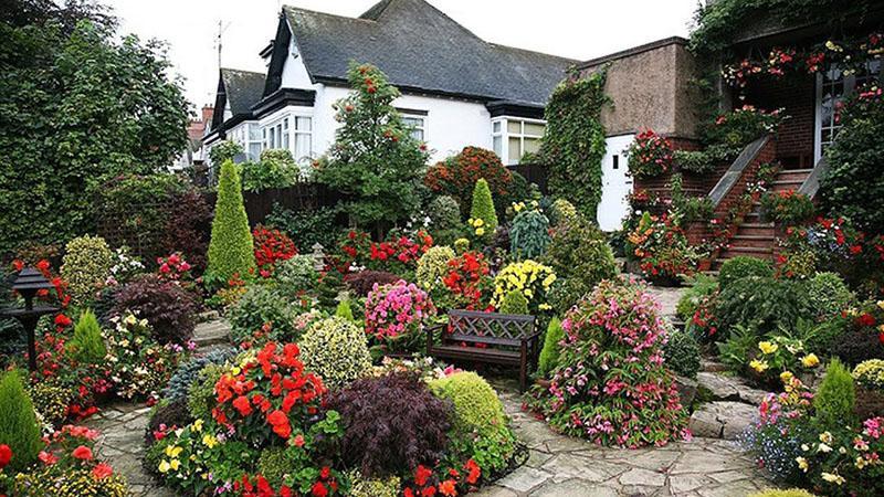 macizos de flores en su cabaña de verano