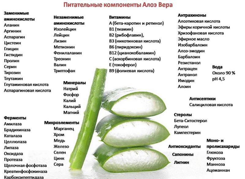 composants nutritionnels