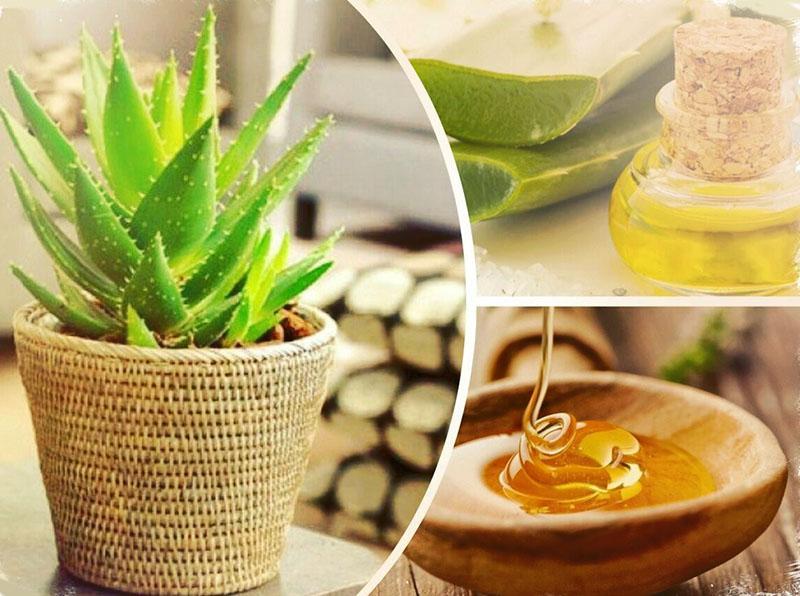 propiedades medicinales del aloe con miel