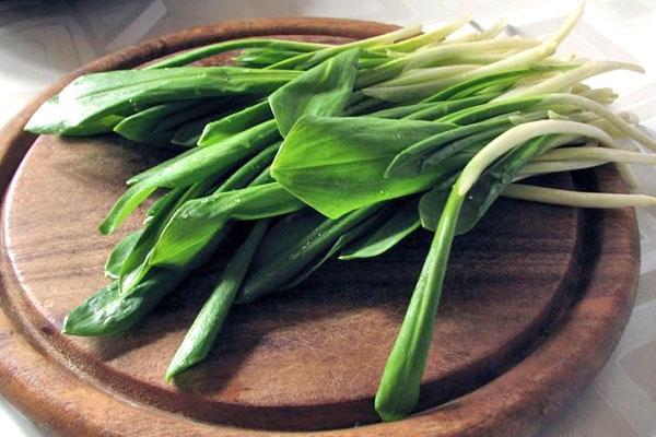 el uso de ajo silvestre en la cocina