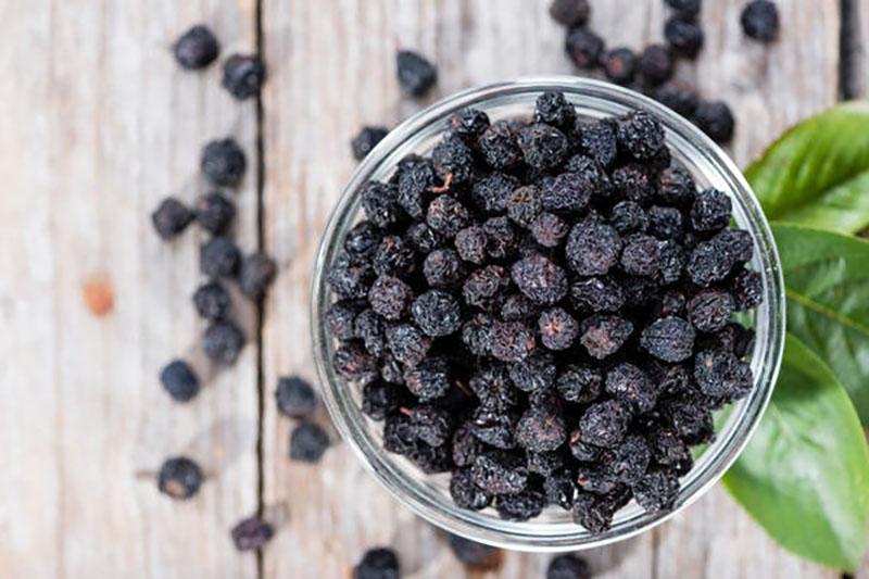 chokeberry seco