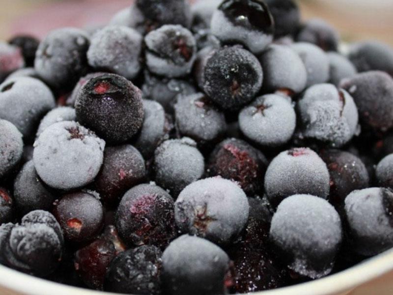 chokeberry congelado