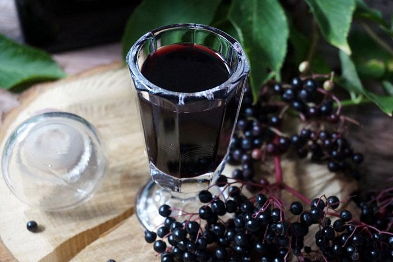 tintura de alcohol medicinal de chokeberry