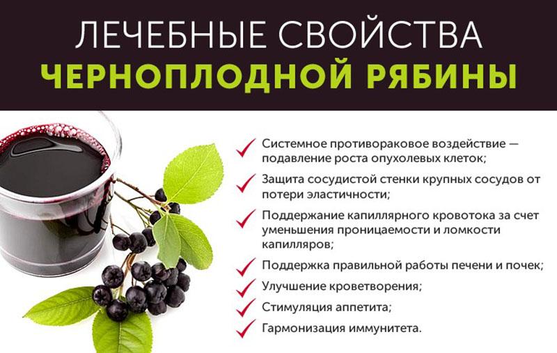 propiedades medicinales de chokeberry