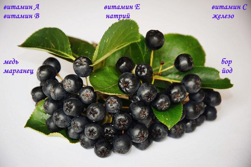 bayas ricas en vitaminas