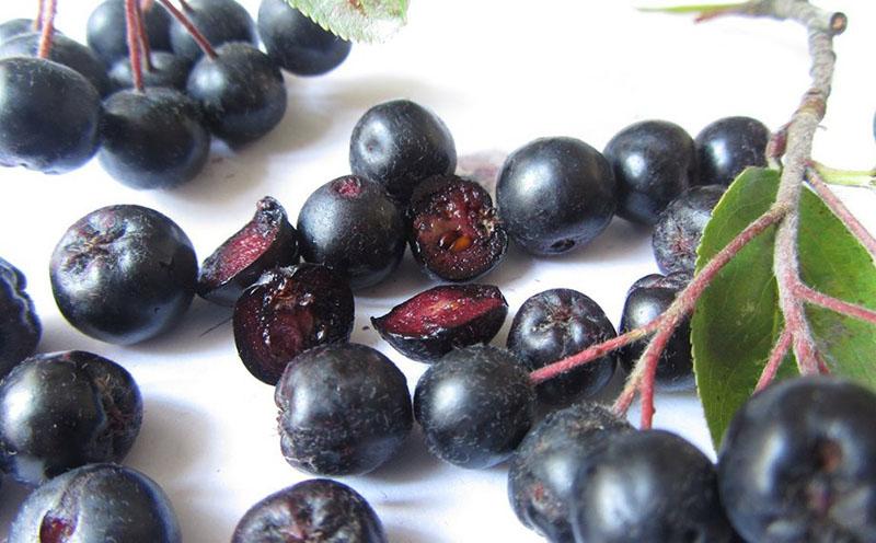 frutas jugosas y saludables