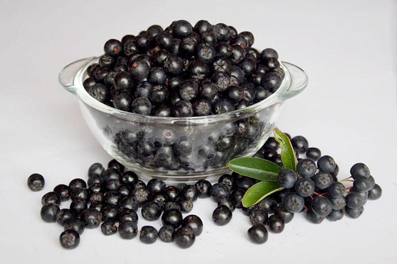 chokeberry con anemia