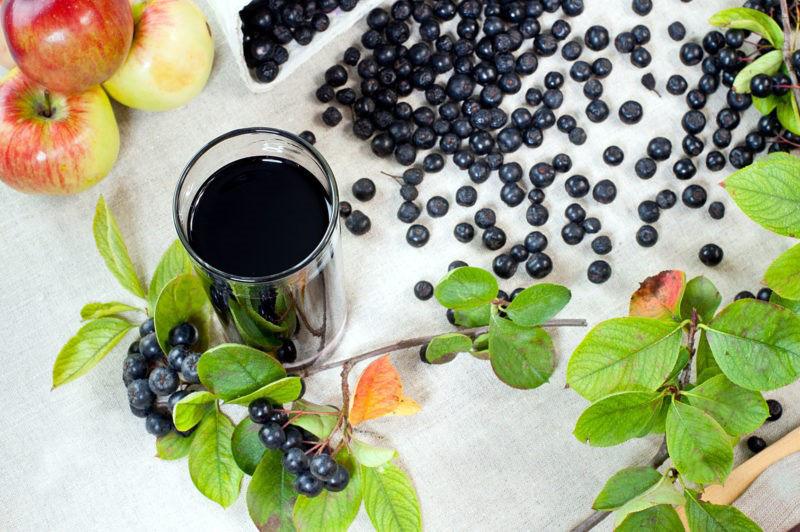Las propiedades medicinales de la chokeberry y los beneficios para los niños.