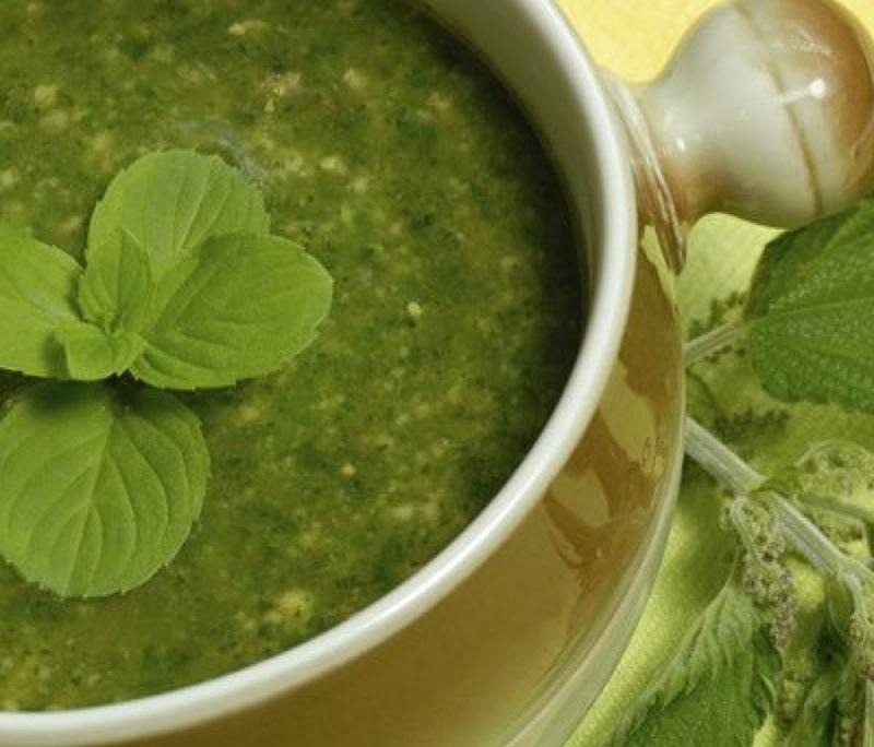 soupe d'ortie jeune