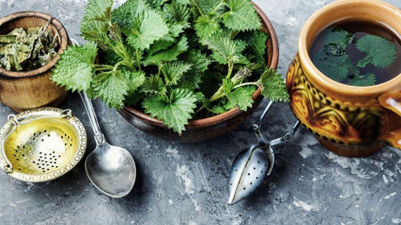 medicamentos con la inclusión de ortigas