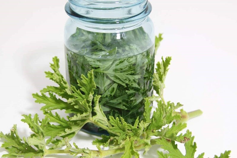 infusión útil