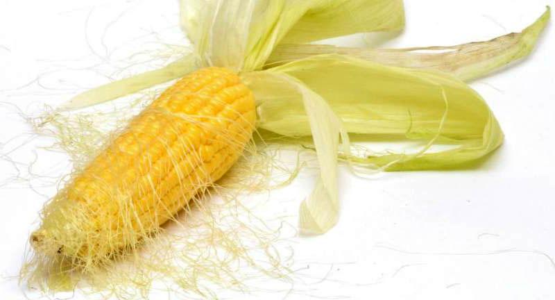 propiedades medicinales de los estigmas del maíz