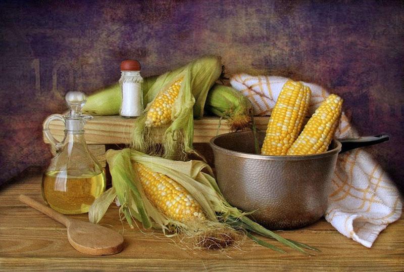 cosechando estigmas de maíz