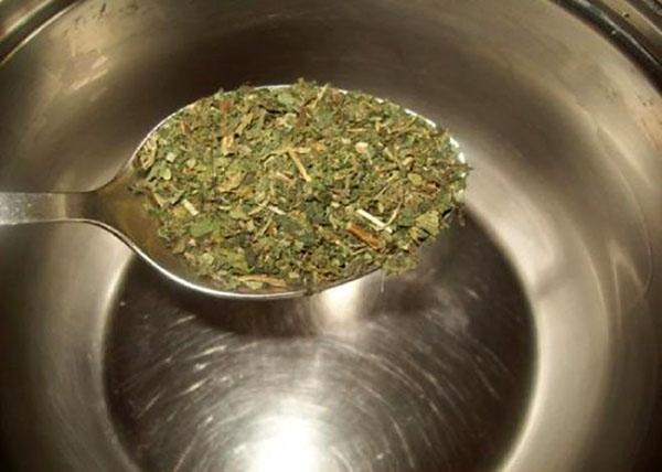 hoja de arce seca