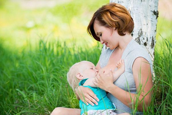 las madres que amamantan no deben usar momordica