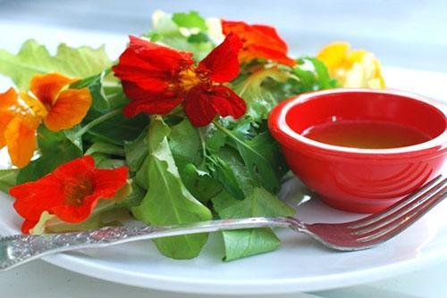 Decocción de flores de capuchina